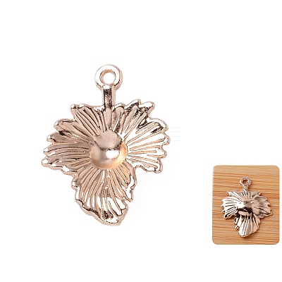Alloy Pendants FIND-TAC0017-80M-1