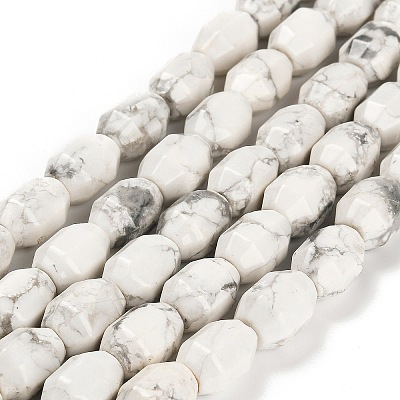 Natural Howlite Beads Strands G-F781-A03-01-1