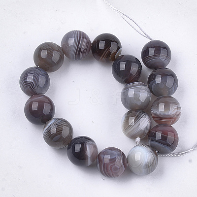Natural Botswana Agate Beads Strands G-S333-12mm-026-1