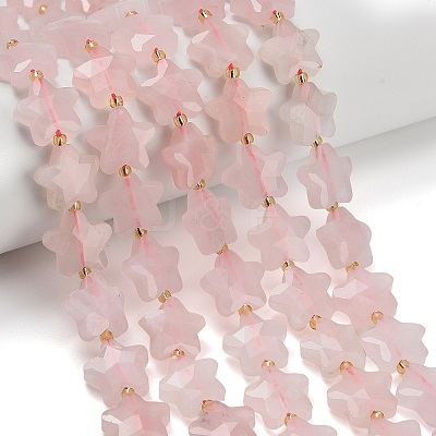 Natural Rose Quartz Beads Strands G-L657-A06-01-1
