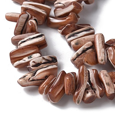 Dyed Natural Trochus Shell Beads Strands SSHEL-C013-09B-1