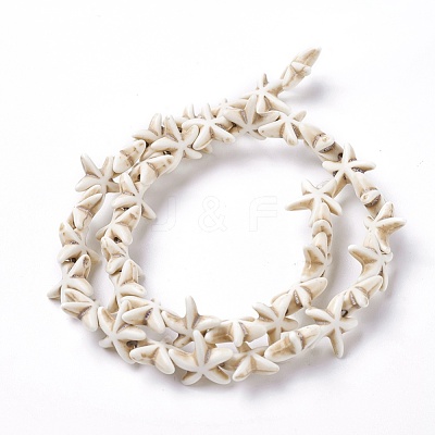 Synthetic Turquoise Beads Strands TURQ-L029-03B-1