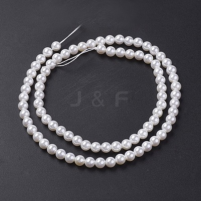 Shell Pearl Bead Strands BSHE-P023-3mm-1