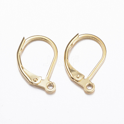 316L Surgical Stainless Steel Leverback Earring Findings X-STAS-E194-03G-1