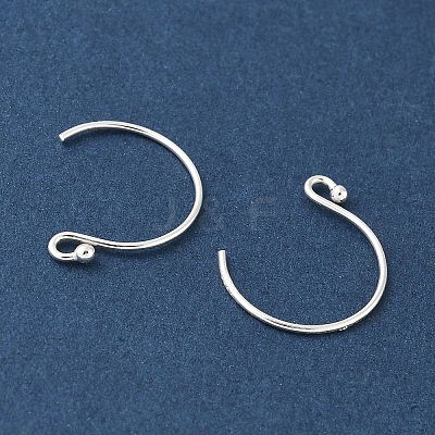 Rhodium Plated 925 Sterling Silver Earring Hooks STER-E068-05S-1