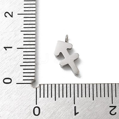304 Stainless Steel Micro Pave Cubic Zirconia Charms STAS-Z107-09P-11-1