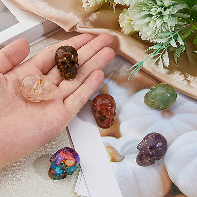 6Pcs 6 Styles Resin Skull Display Decoration DJEW-DC0001-15-1