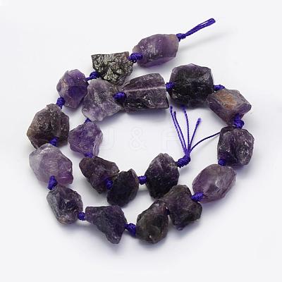 Natural Amethyst Beads Strands G-G697-E06-1