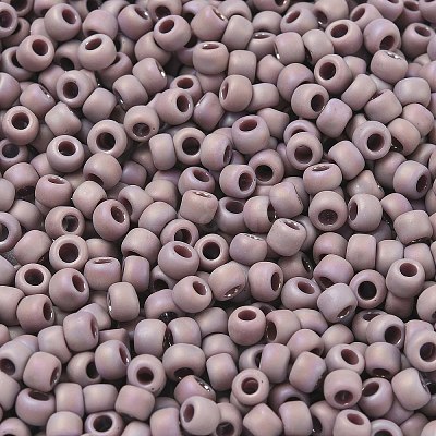 TOHO 6/0 Round Beads SEED-XTR06-0412F-1