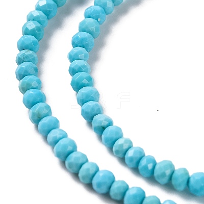 Natural Howlite Beads Strands G-H025-03A-03-1