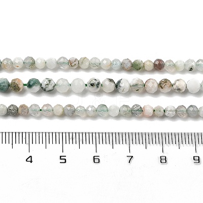 Natural Tree Agate Beads Strands G-RM250104-D6-1