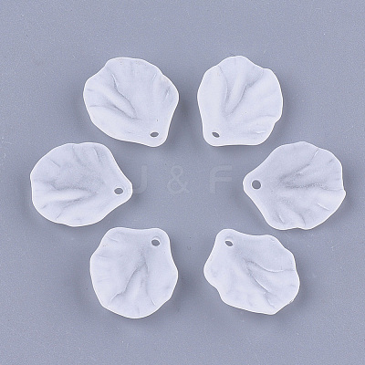 Transparent Acrylic Pendants FACR-T001-13-1