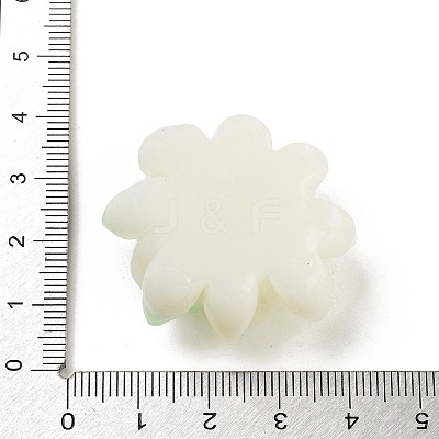 Two Tone Opaque Resin Decoden Cabochons RESI-K042-01F-1