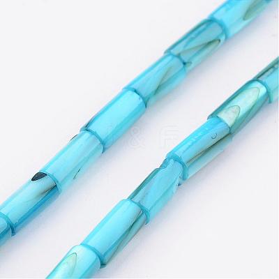Natural Shell Bead Strands BSHE-P016-M-1