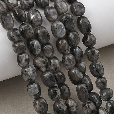 Natural Larvikite Beads Strands GG-C286-A28-1