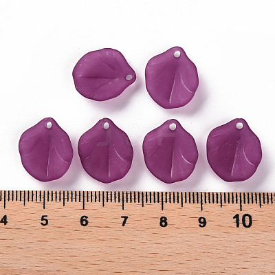 Transparent Frosted Acrylic Pendants MACR-S371-02A-743-1