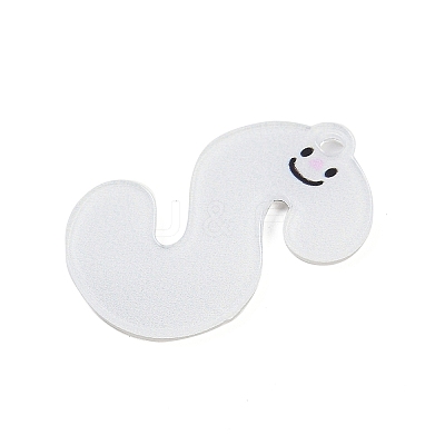 Acrylic Pendants LS-MACR-R002-01S-1