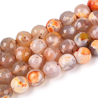 Dyed & Heated Natural Fire Crackle Agate Beads Strands G-N359-01B-10-1