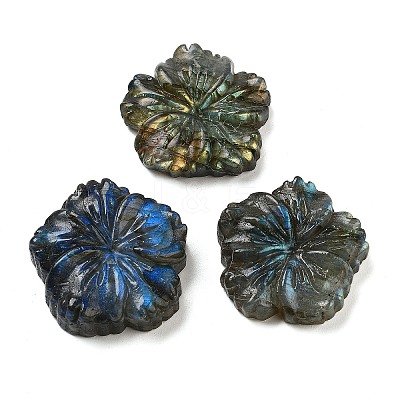 Natural Labradorite Carved Cabochons G-C152-06-1