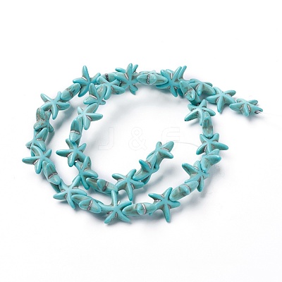 Synthetic Turquoise Beads Strands X-TURQ-L029-03A-1