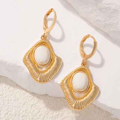 Zinc Alloy Resin Hoop Earrings FS-WG5C4FF-01-1