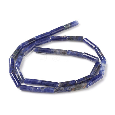 Natural Sodalite Beads Strands X-G-F247-30-1