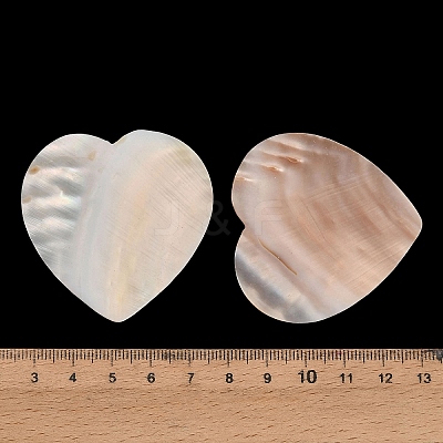 Natural Freshwater Shell Cabochons SHEL-C010-10A-1