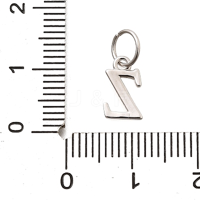 925 Sterling Silver Pendants STER-R011-07P-Z-1
