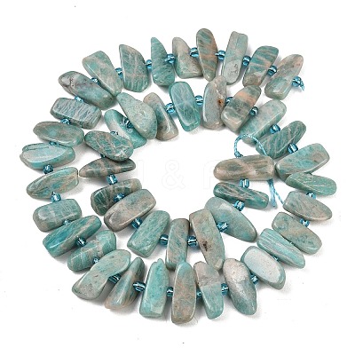 Natural Amazonite Beads Strands X-G-P619-A04-01-1