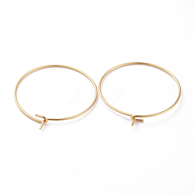 316 Surgical Stainless Steel Hoop Earring Findings X-STAS-J025-01C-G-1