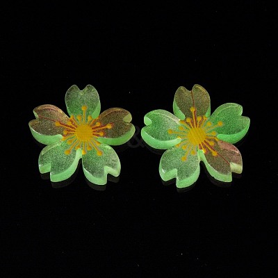 Luminous Resin Cabochons RESI-G030-01B-1