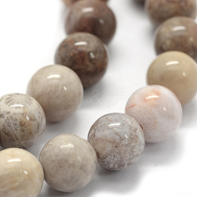 Natural Fossil Coral Beads Strands G-G763-12-12mm-1