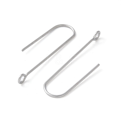 316 Surgical Stainless Steel Earring Hooks STAS-Z124-02D-P-1