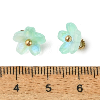 Alloy Acrylic Pendants TACR-P016-01G-14-1
