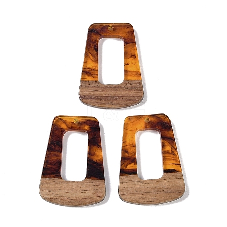 Resin & Wood Pendants WOOD-F015-11D-1