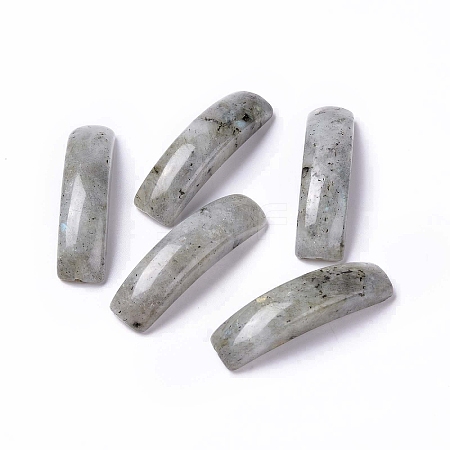 Natural Labradorite Connector Charms G-C015-01B-1