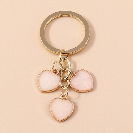 Alloy Enamel Keychain PW-WG763C8-02-1