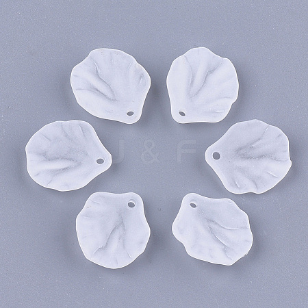 Transparent Acrylic Pendants FACR-T001-13-1