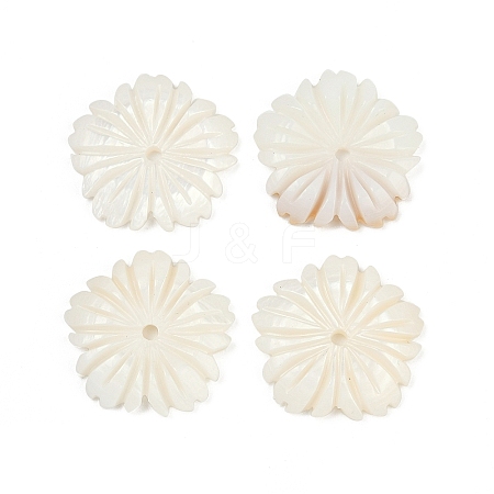 Natural Freshwater Shell Pendants SHEL-K006-43-1