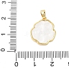 Brass Acrylic Pendants KK-D357-15G-3