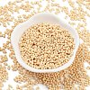 Baking Paint Glass Seed Beads X1-SEED-A033-05G-2