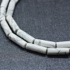 Natural Howlite Beads Strands G-F631-D18-3