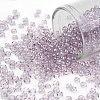 TOHO Round Seed Beads SEED-XTR08-0632-1