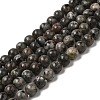 Natural Fluorescent Syenite Rock(Glow under UV Light) Beads Strands G-K340-A05-06-1