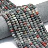 Natural African Bloodstone Beads Strands G-P575-A55-8x5mm-1