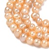 Natural Cultured Freshwater Pearl Beads Strands PEAR-L034-02-4
