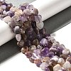 Natural Amethyst Beads Strands G-R190-10mm-50-1