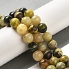 Natural Bumblebee Jasper Beads Strands G-NH0008-01-2