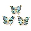 Brass Shell Brooch JEWB-C047-02G-01-1