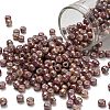 TOHO 6/0 Round Beads X-SEED-TR06-1203-1